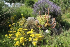 Kräuterspirale