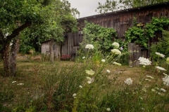 Obstgarten vor der Scheune  -  Foto: A. Declair