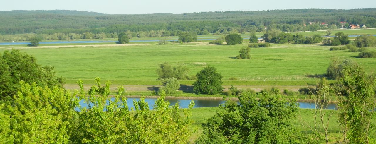 Blick in die Oderaue